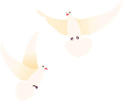 内顶尖车队, https, bt 内顶尖车队, https, bt